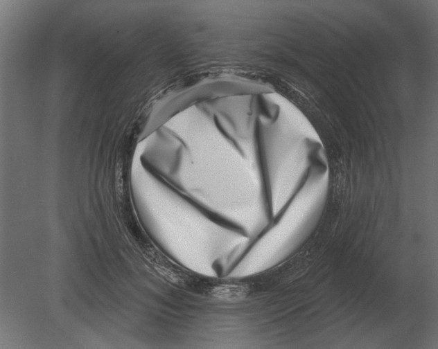 X0000080720700200701121844