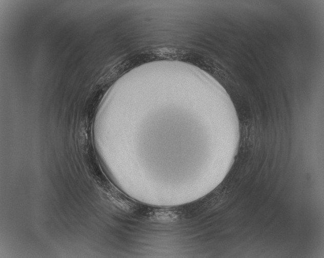 X0000080720702200701121844