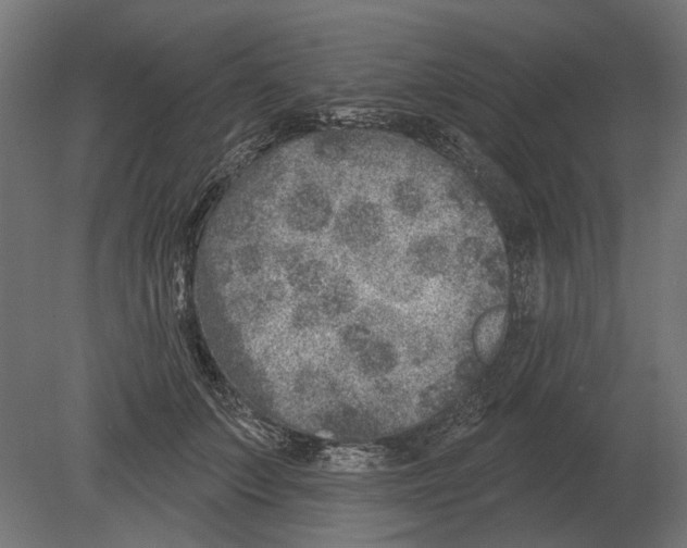 X0000080720703200701121844