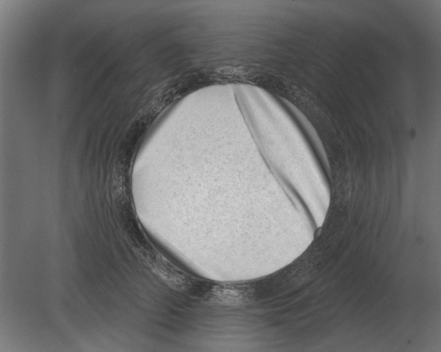 X0000080720706200701121844