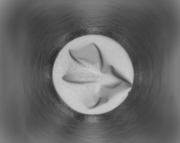 X0000080720710200701121844