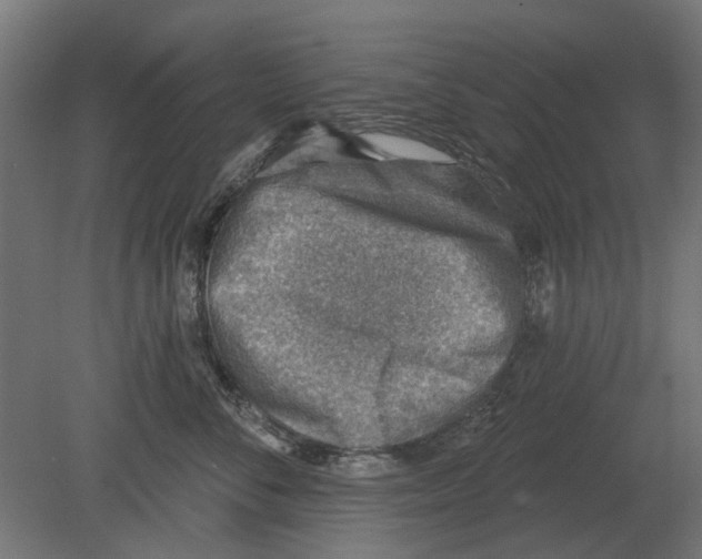 X0000080720716200701121843