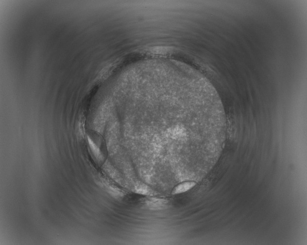 X0000080720718200701121843