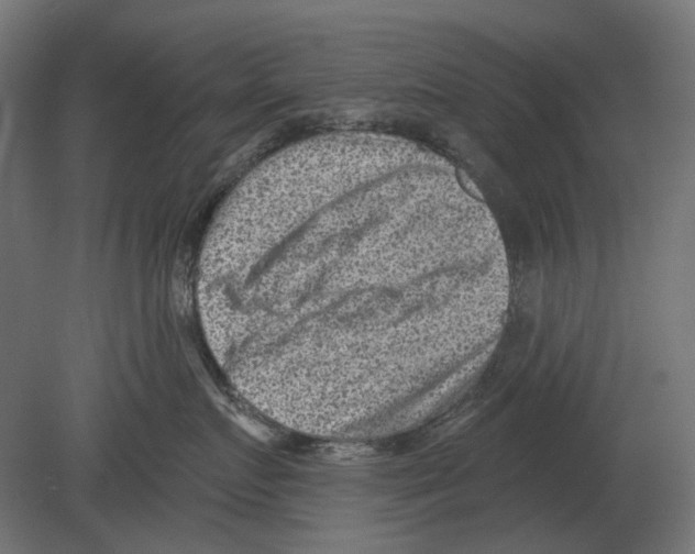 X0000080720719200701121843