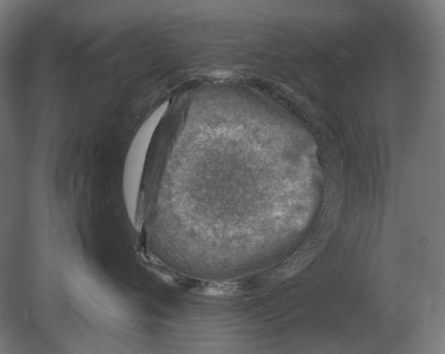 X0000080720720200701121843