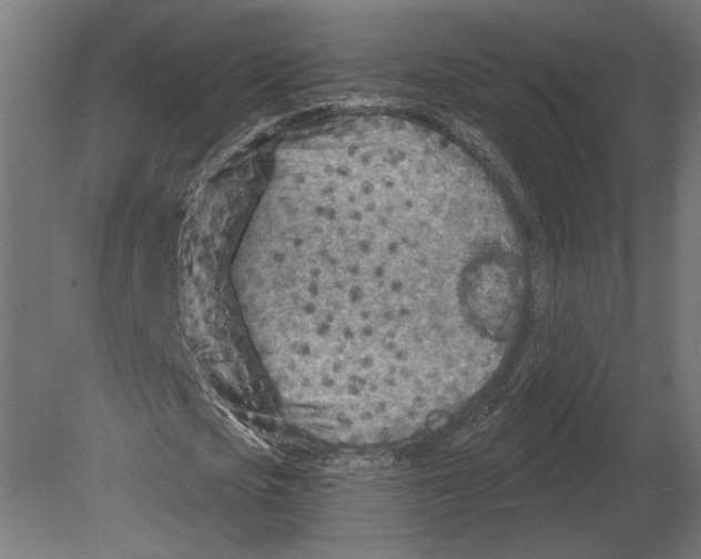 X0000080720721200701121843