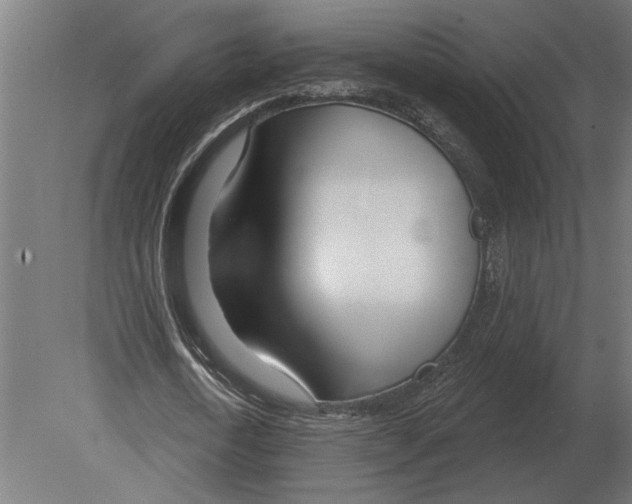 X0000080720722200701121843