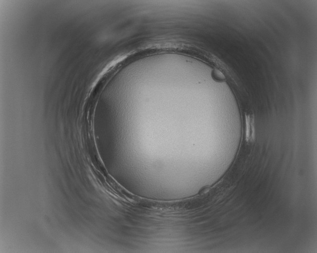 X0000080720723200701121843