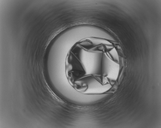 X0000080720725200701121843