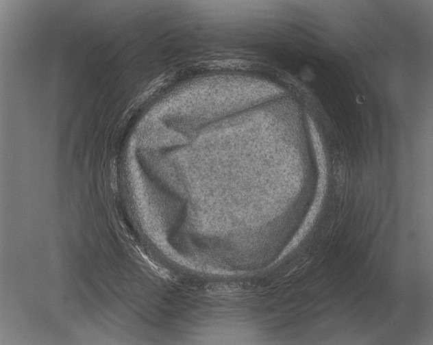 X0000080720729200701121843