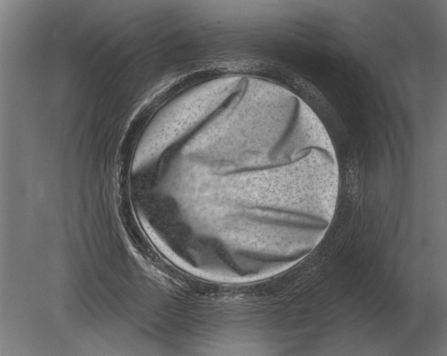 X0000080720730200701121843