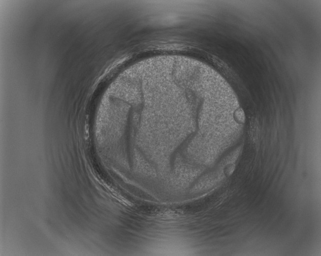 X0000080720731200701121843