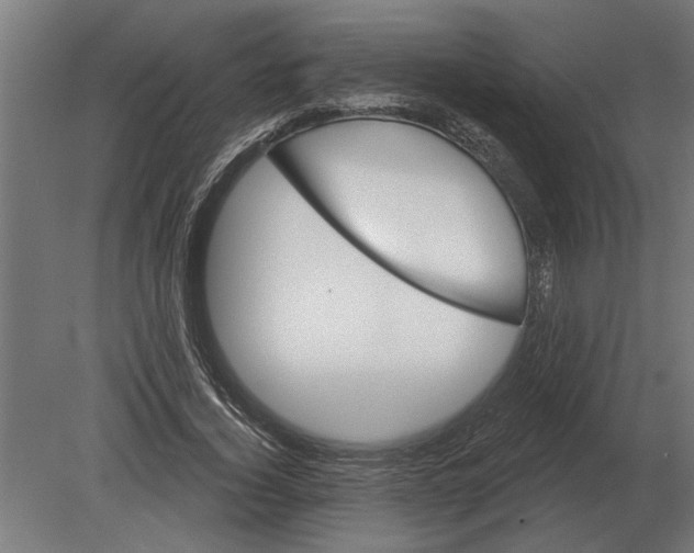 X0000080720732200701121843