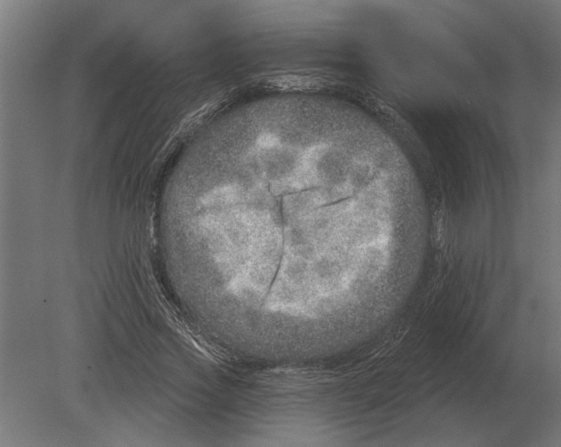 X0000080720733200701121843