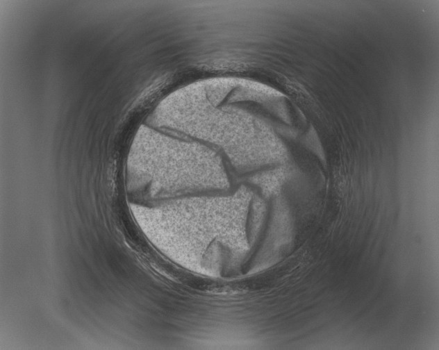 X0000080720735200701121843