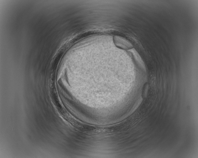 X0000080720736200701121843