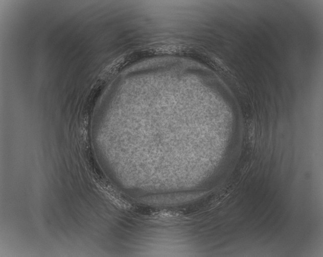 X0000080720737200701121843