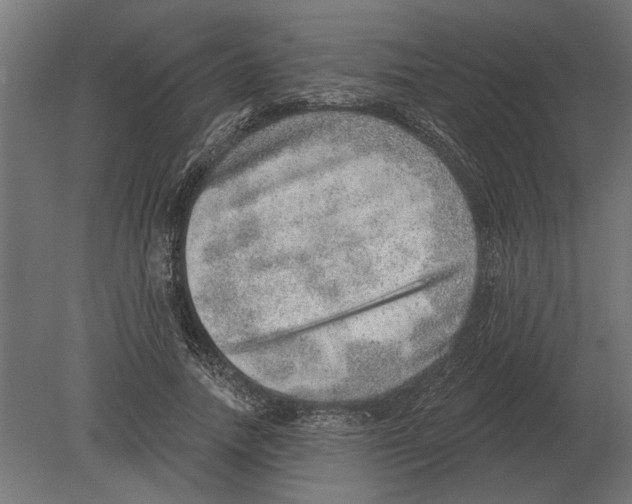 X0000080720738200701121843