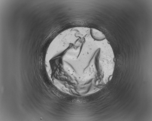 X0000080720739200701121843