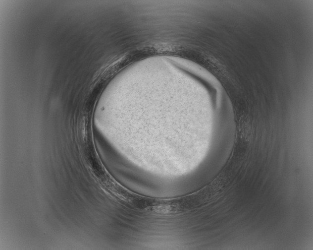 X0000080720740200701121843