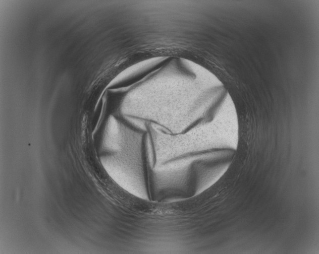 X0000080720742200701121843