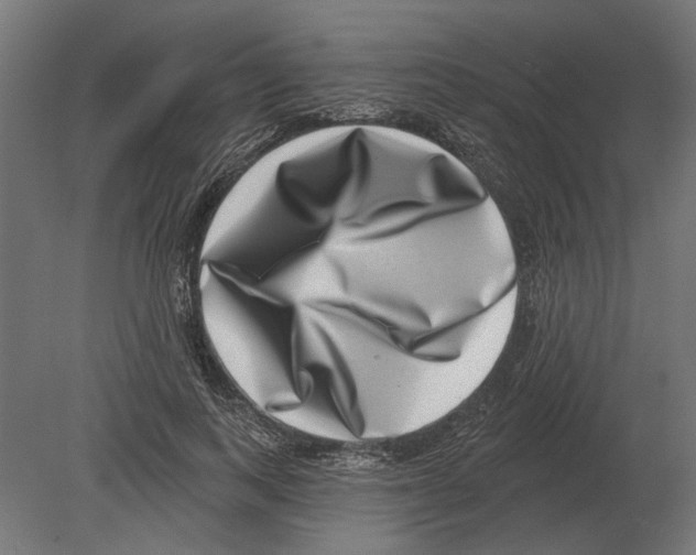 X0000080720743200701121843