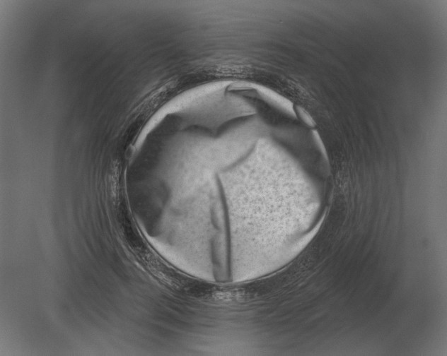 X0000080720744200701121843