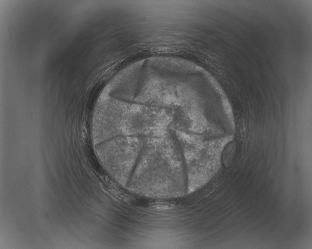 X0000080720746200701121843