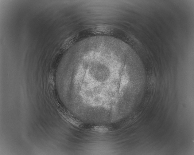 X0000080720749200701121843