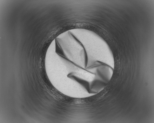 X0000080720750200701121843