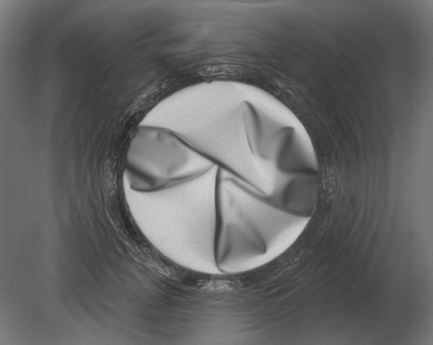 X0000080720751200701121843