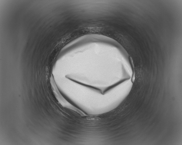 X0000080720752200701121843