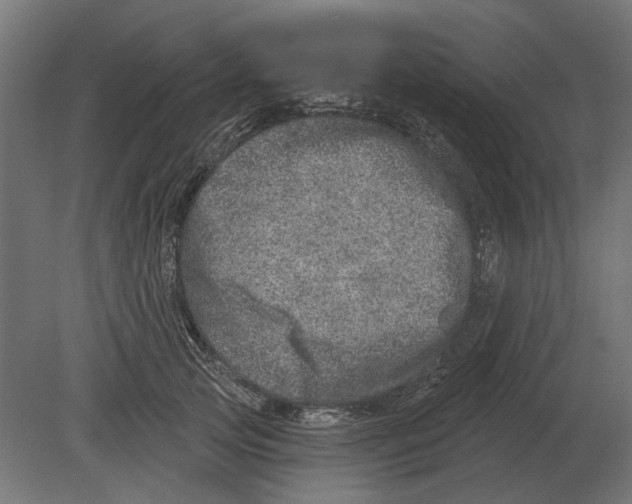 X0000080720753200701121843