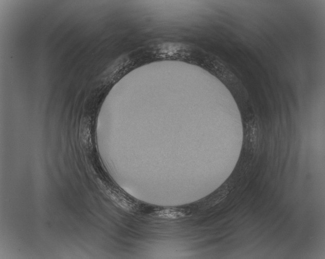 X0000080720754200701121843