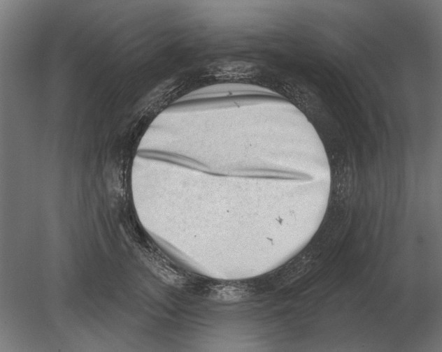 X0000080720755200701121843