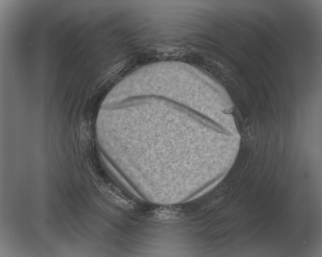 X0000080720756200701121843