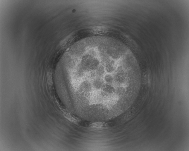 X0000080720757200701121843