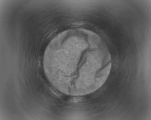 X0000080720758200701121843