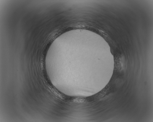 X0000080720762200701121843