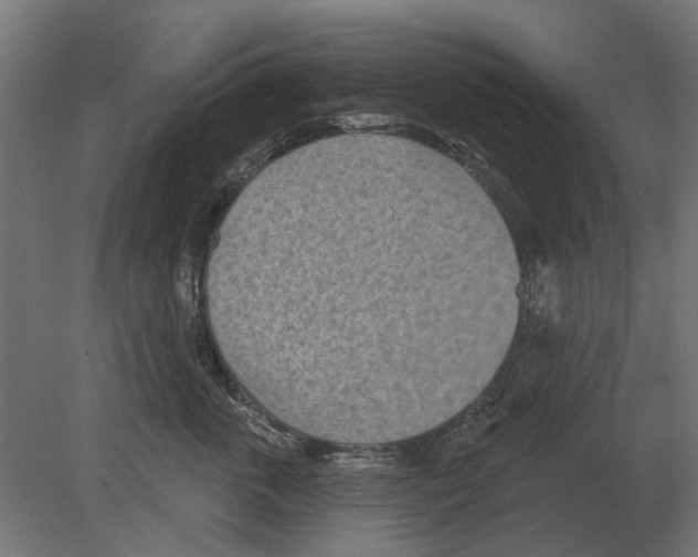 X0000080720763200701121843