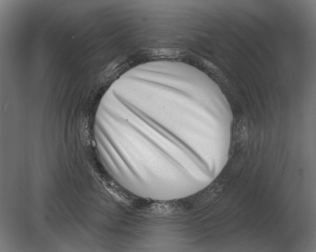 X0000080720764200701121843