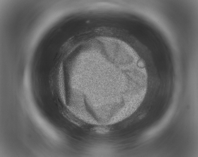 X0000080720765200701121843