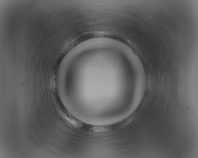 X0000080720766200701121843