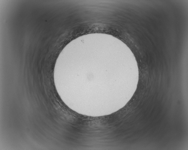 X0000080720769200701121843