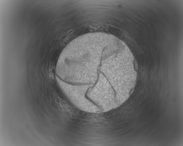 X0000080720770200701121843