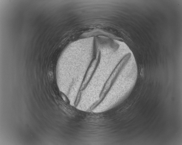 X0000080720771200701121843