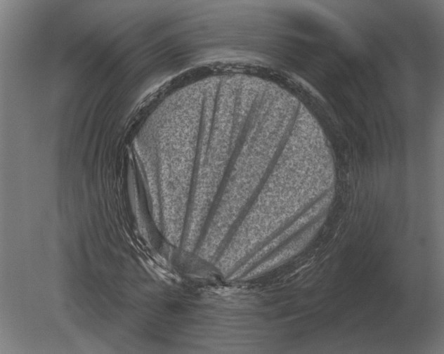 X0000080720775200701121842