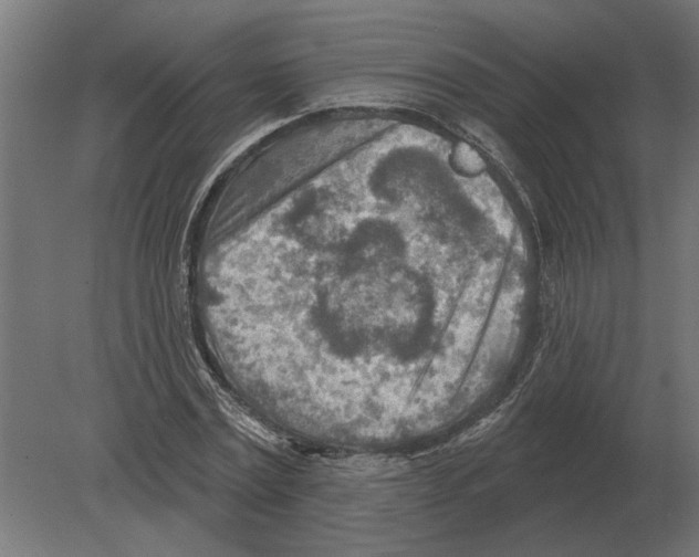 X0000080720779200701121842