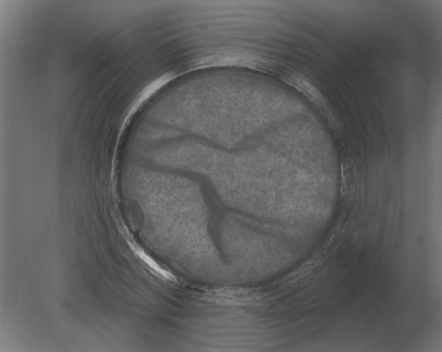 X0000080720780200701121842