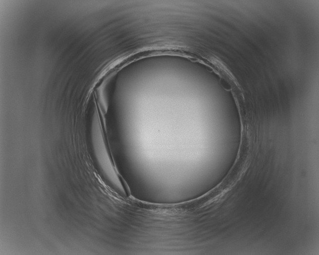 X0000080720781200701121842